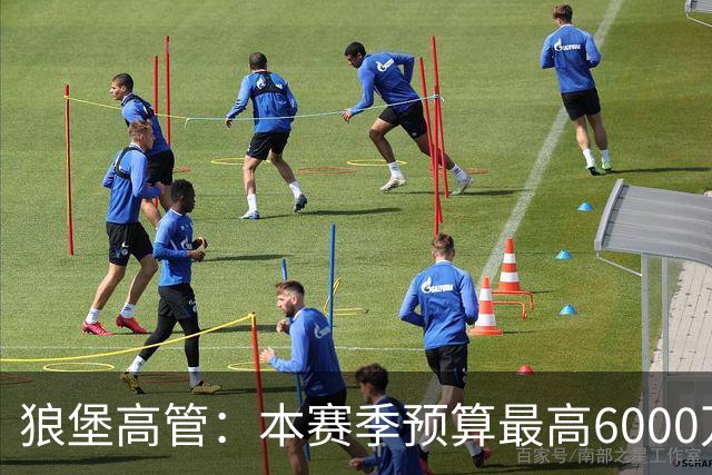 狼堡高管：本赛季预算最高6000万欧，力争完成在德乙的目标